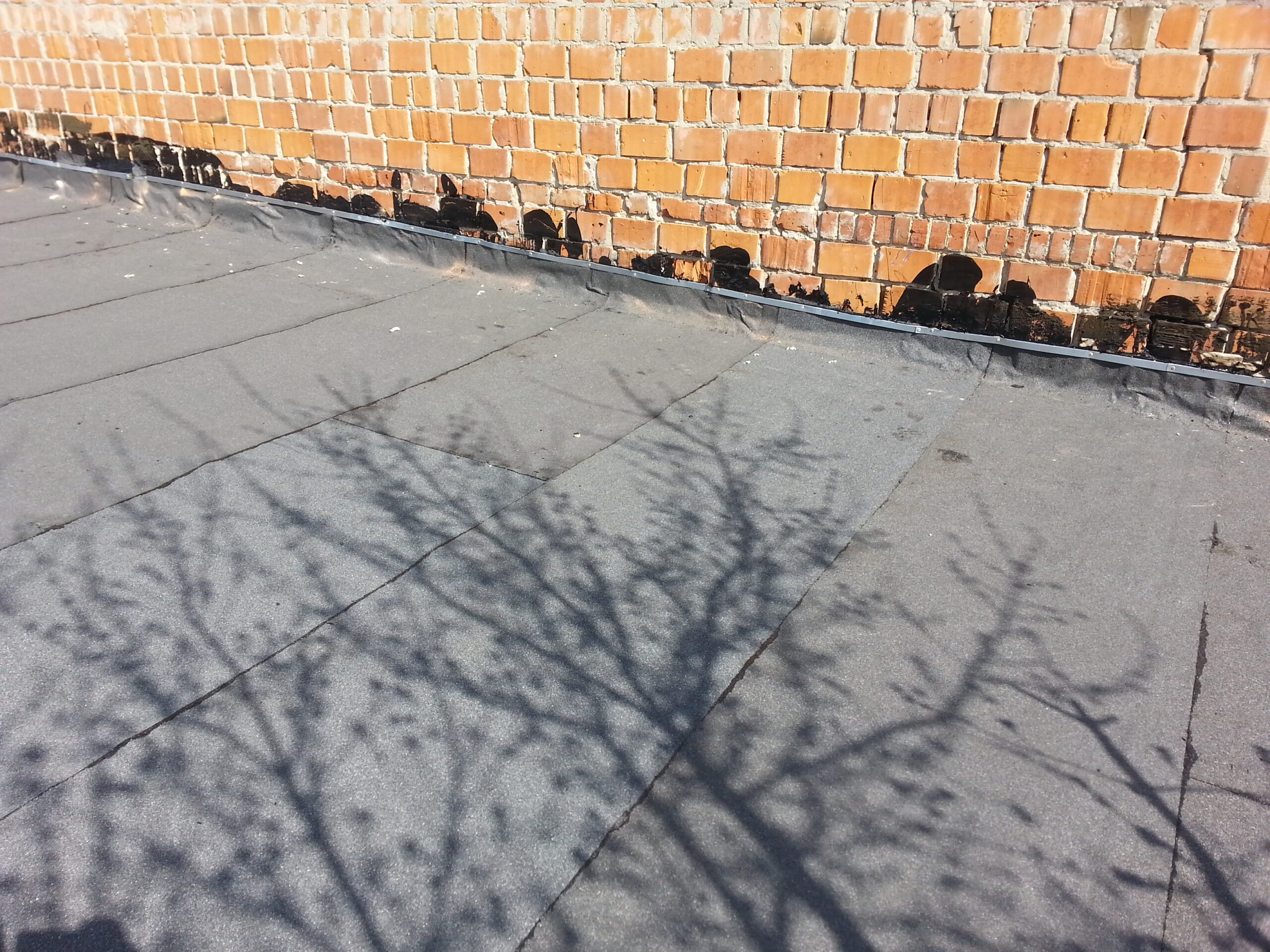20150402_113905